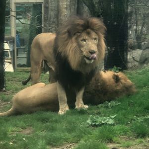 Meet your Posher, Drea